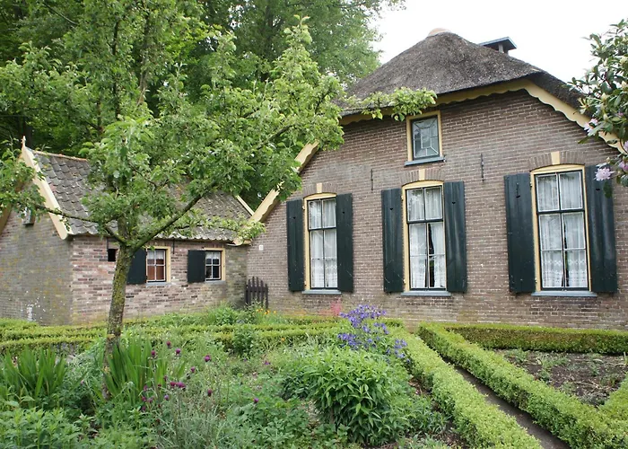 Trekkershut In De Natuur