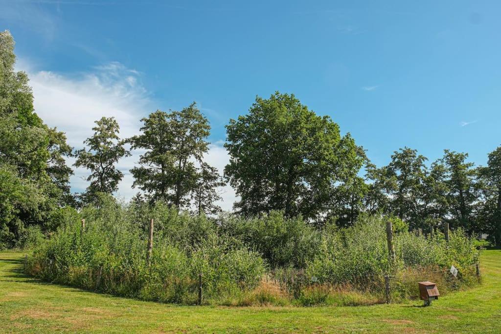 Campsite Trekkershut In De