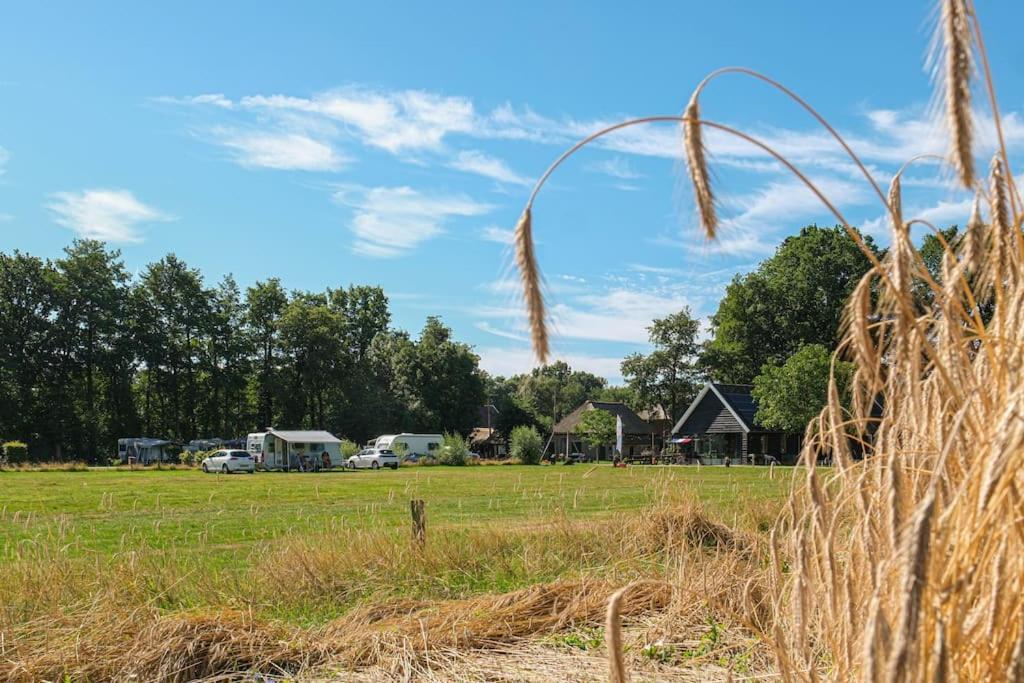 Trekkershut In De *