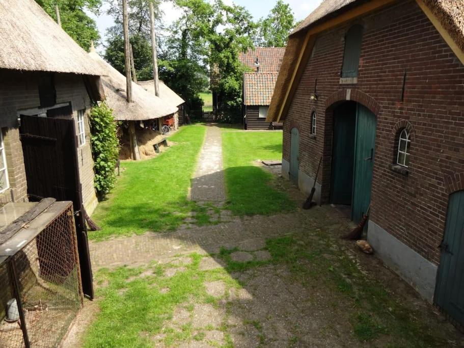 Trekkershut In De Campsite